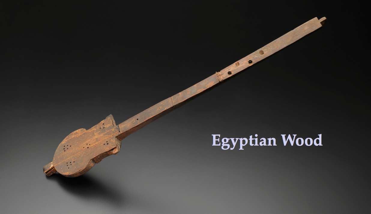 a Roman wooden lute now at the Mewt found in Egypt